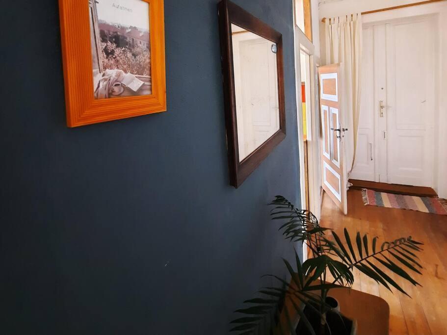 Altbau Charme & Mittendrin Stralsund Extérieur photo